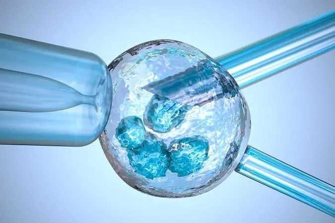 shutterstock_324385811 Κατάψυξη Ωαρίων