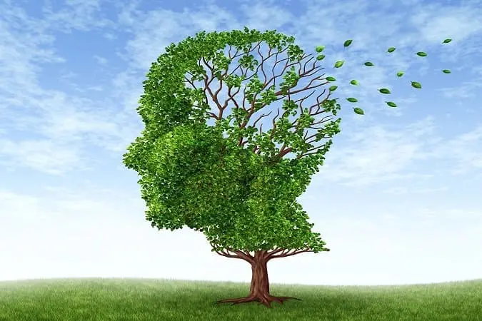 shutterstock_94573339