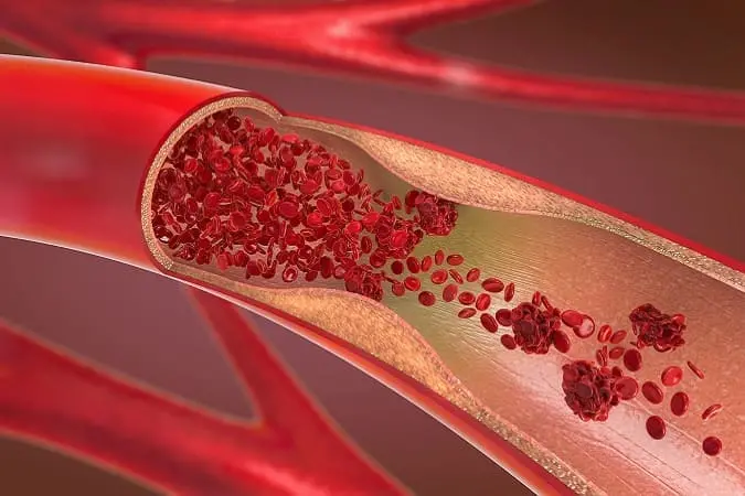 shutterstock_1254693310 (1)