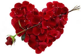 images-95.jpg
