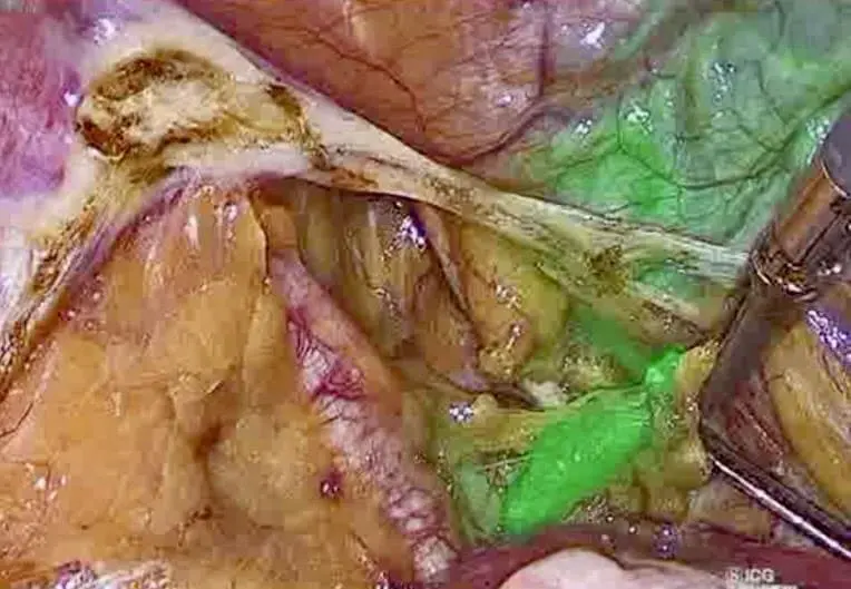 MyDoctors Lathouras image 1