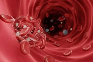 MyDoctors shutterstock 2138123711 1