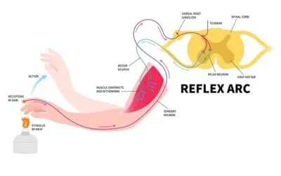 Επεμβατική θεραπεία αντιμετώπισης του πόνου με εφαρμογή ραδιοσυχνοτήτων