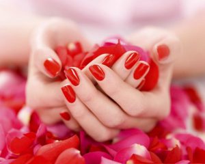 beautiful-hands-in-rose-petals-1280x1024-5.jpg