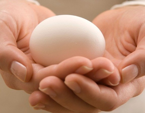 dwrea_wariwn-576×450.jpg dwrea_wariwn-576x450.jpg