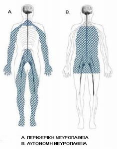 MyDoctors ΤΙ ΕΙΝΑΙ ΠΕΡΙΦΕΡΙΚΗ ΝΕΥΡΟΠΑΘΕΙΑ; 16 4______0.jpg