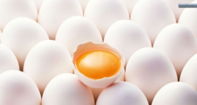 Πανηγυρική αθώωση του αυγού: Μπορεί να προστατεύει από τα καρδιαγγειακά νοσήματα!