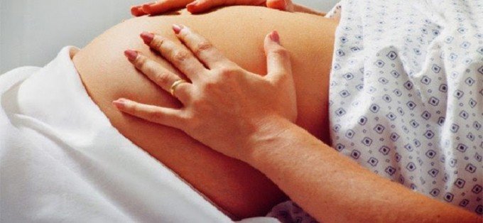 toketos.jpg toketos.jpg