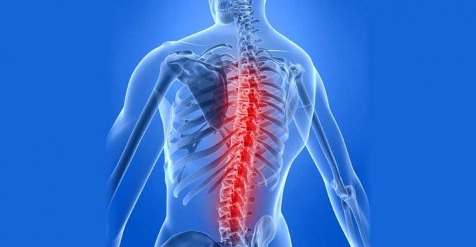 spine_500.jpg spine_500.jpg