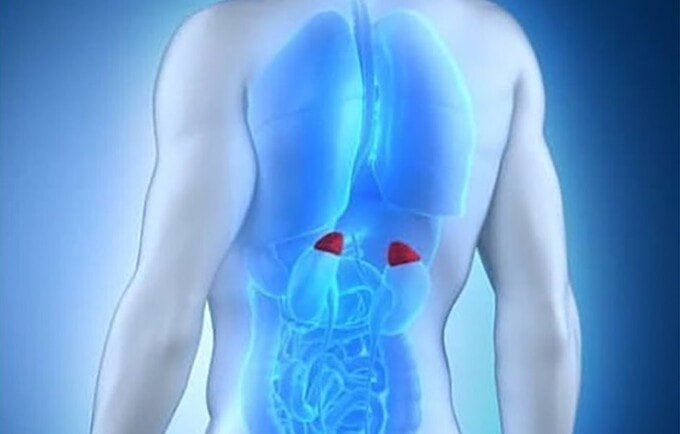 kexagias2.jpg kexagias2.jpg