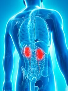 MyDoctors Οπισθοπεριτοναϊκή Χειρουργική Νεφρού - Μερική Νεφρεκτομή 2 MyDoctors nefrektomi1