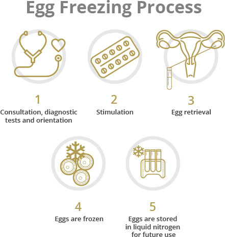 MyDoctors freezing eggs1 min