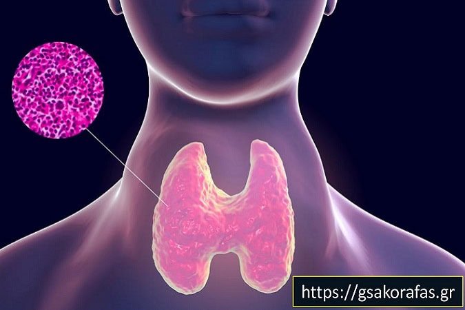 Sakorafas keimenou (2)