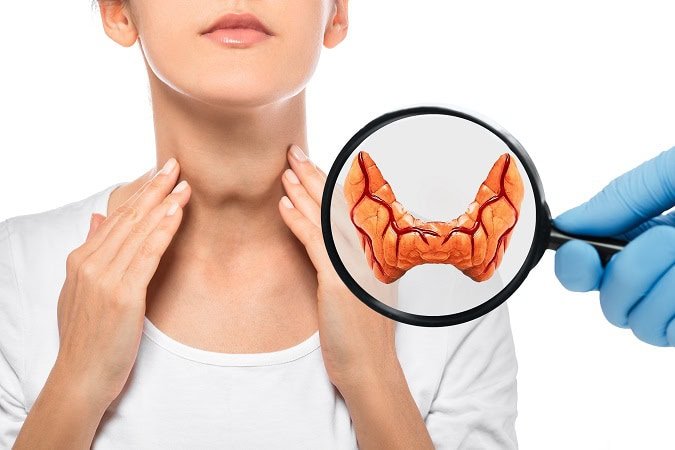 Diagnosis,And,Treatment,Of,Thyroid,Diseases.,Endocrinology,,Anatomical,Model,Of